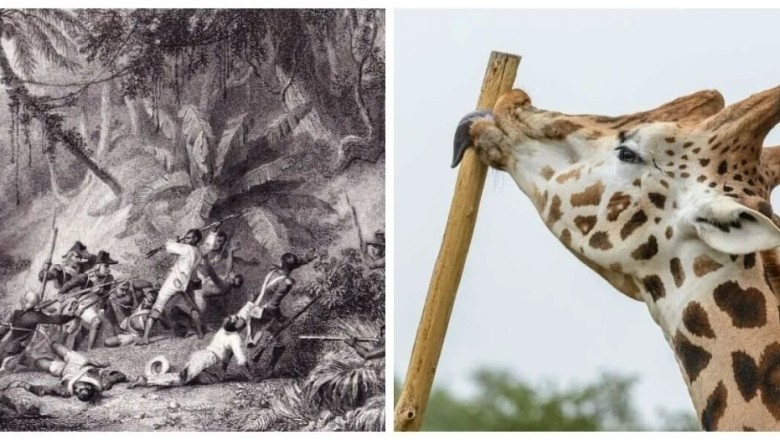 10 Astonishing Facts You Never Knew That Will Change the Way You See the World!