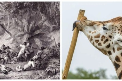 10 Astonishing Facts You Never Knew That Will Change the Way You See the World!