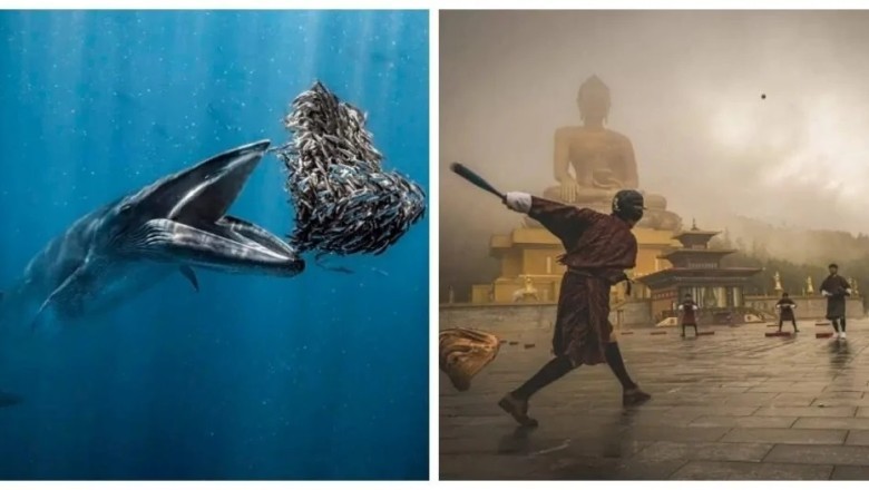 14 Photos from 2024 That Will Captivate You with Their Unique Beauty