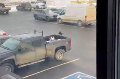 Crow's Sneaky Snack: Clever Bird Steals Tasty Treats from Food Truck!