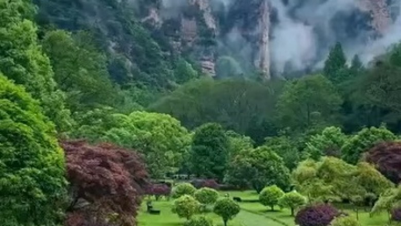 Exploring Zhangjiajie: China's Majestic UNESCO World Heritage Gem!