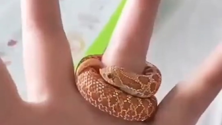 Stunning Women's Snake Ring: The Must-Have Accessory of the Year! ππ