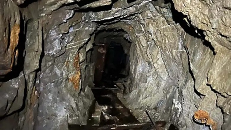 The Mystery of the Missing Prospector: What Happened to Slamach After His Golden Find?