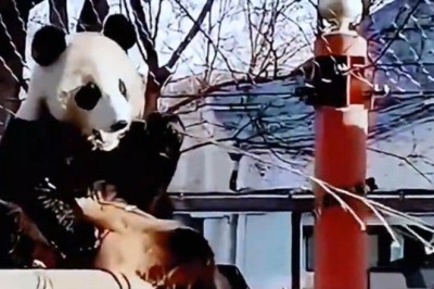Unbelievable Moments: Watch This Adorable Panda Steal the Show in China!