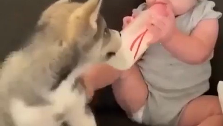 Adorable Kids and Their Pets: Heartwarming Moments!