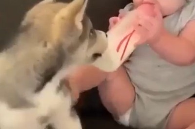 Adorable Kids and Their Pets: Heartwarming Moments!