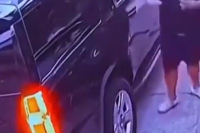 Awe-Inspiring Moments with Amazingly Beautiful Pets!