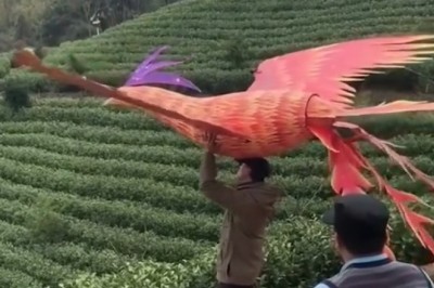 Unleashing Nature's Fury: The Great Power of Nature Captured!