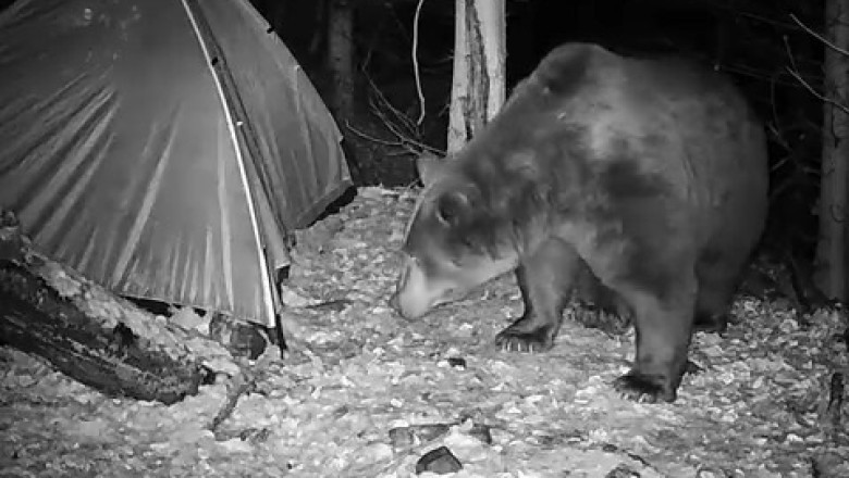 What Happened to My Tent Left Alone in the Mountains for a Month?