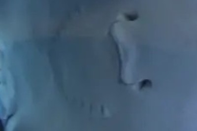 Hilarious Giant Manta Ray Antics: Underwater Comedy Show!