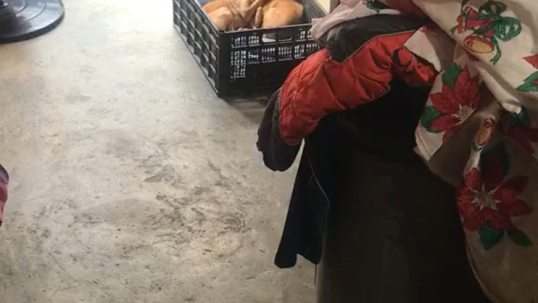 Two Dogs Having Fun in a Box
