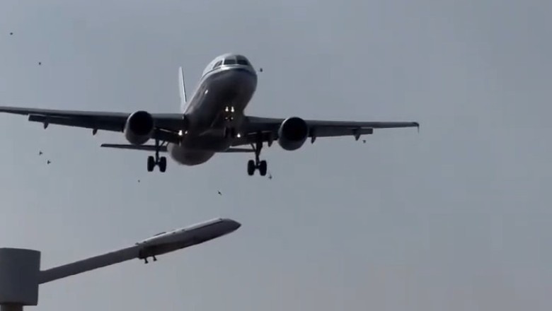 Epic Encounter: A320 Faces Flock of Birds in Daring Descent!