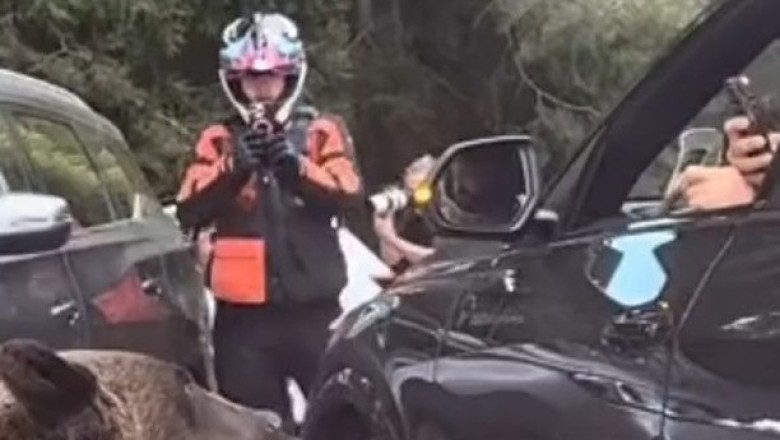 Heart-Pounding Escape: Man Outsmarts Bear Attack on the Highway!