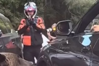 Heart-Pounding Escape: Man Outsmarts Bear Attack on the Highway!