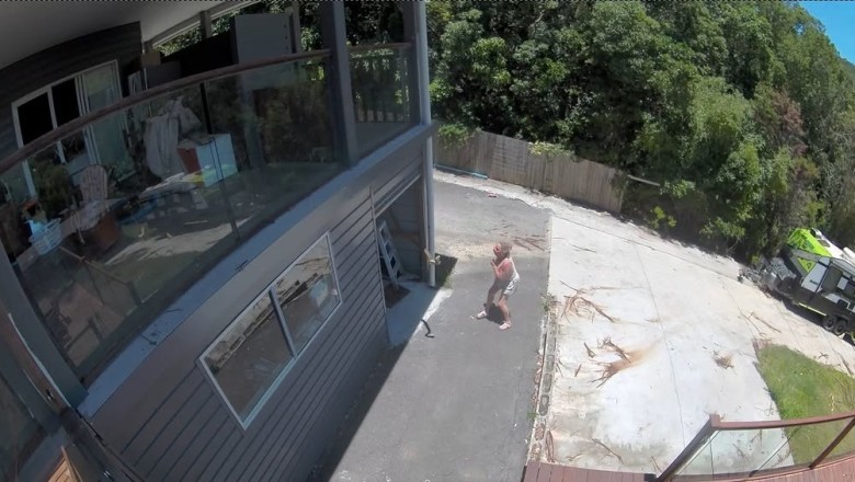Terrifying Encounter: Woman Faces Colossal Snake In Her Garage!