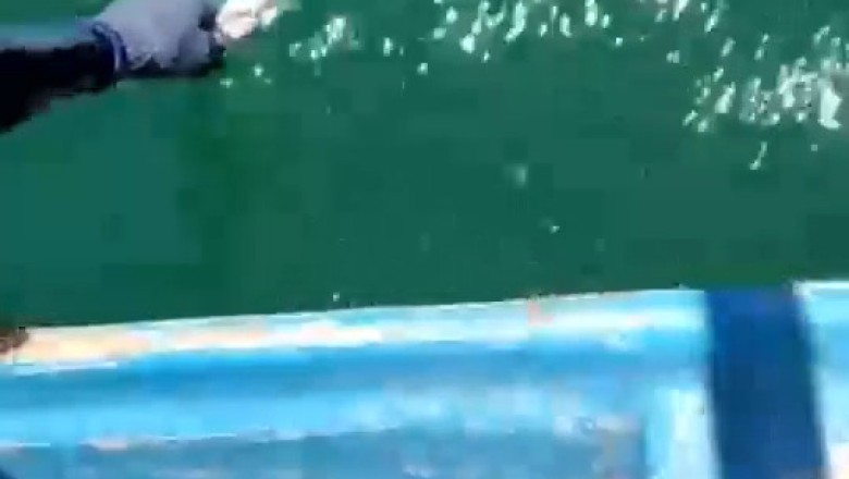 The HILARIOUS Way to Catch Fish: You Won't Believe This Trick!