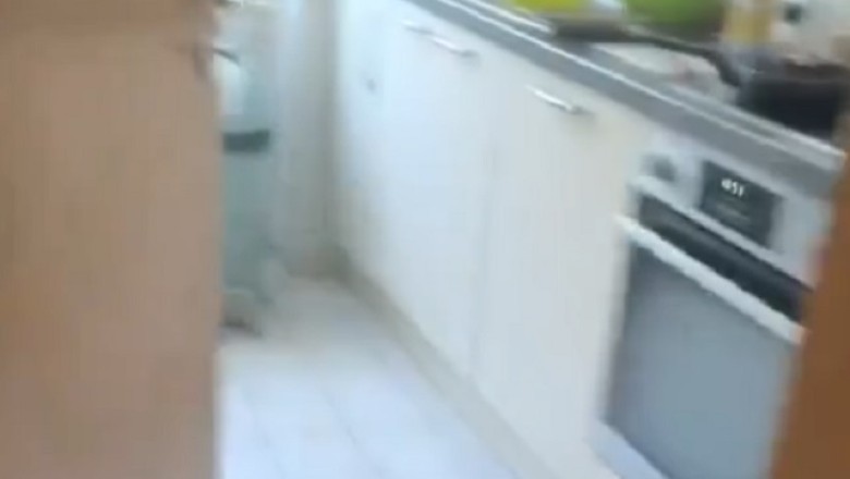 Hilarious Kitchen Antics: When a Dog and Cat Team Up!