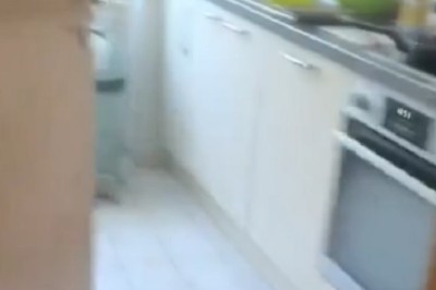 Hilarious Kitchen Antics: When a Dog and Cat Team Up!
