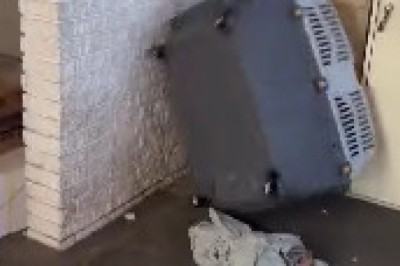 Hilarious Unadjusted Dog Video: Watch This Pup Struggle in the Funniest Way!