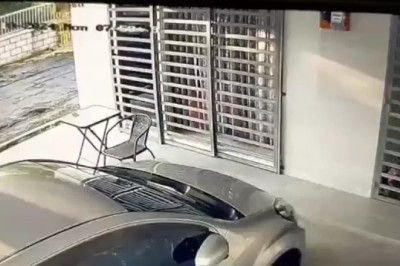 Heroic Mother Vs. Ferocious Monkey: A Heart-pounding Escape Caught On Camera!