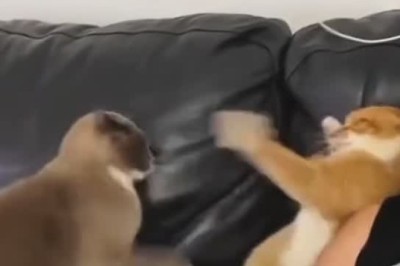 jutjukhjtuejjejjejejjjjjjjjjjjjjjjjjjjjjjjj