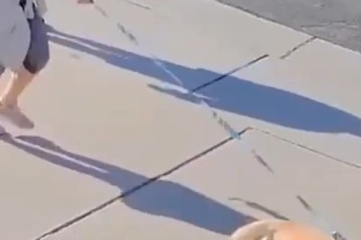 Unlocking the Laughter: Hilarious Pet Fails That Will Make You ROFL!