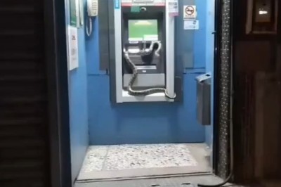 Man's ATM Visit Takes Wild Turn as Huge Snake Wraps Around Machine