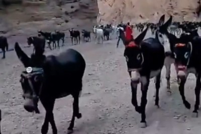 Discover Baiyin: Hilarious Highlights and Must-See Spots in Gansu!