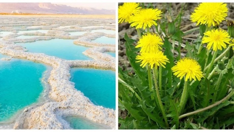 10 Mind-Blowing Facts That Will Change Your Perspective on the World!