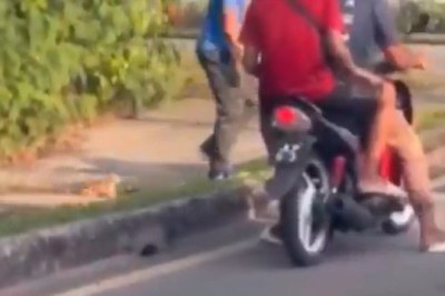 From Abandonment to Unconditional Love: A Heartwarming Rescue Story!