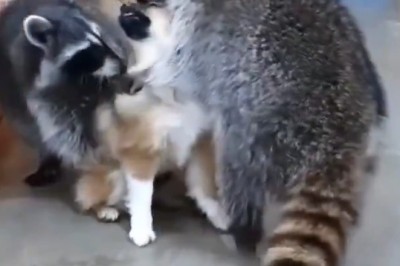 You Don't Look Like One of Us, But We'll Take You in the Band!