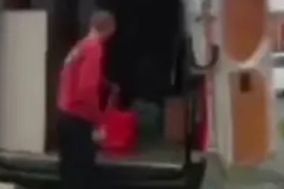 When Pets Become Parody Kings: The Ultimate Pet Comedy Show!