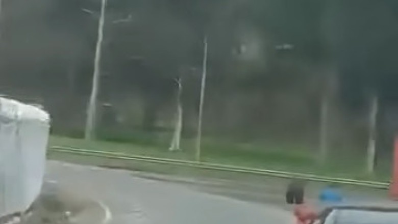 The Great Escape: Truck Wheels Roll Away on Their Own!