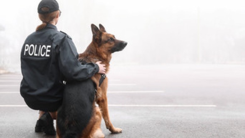 The Midnight Howl: How a Cop and Her Dog Uncovered a Deadly Secret Beneath the City