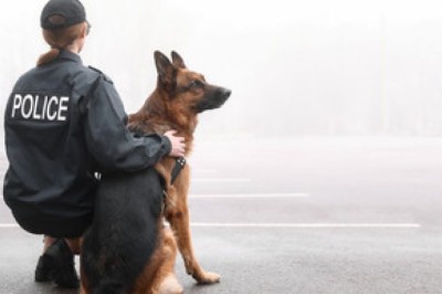 The Midnight Howl: How a Cop and Her Dog Uncovered a Deadly Secret Beneath the City
