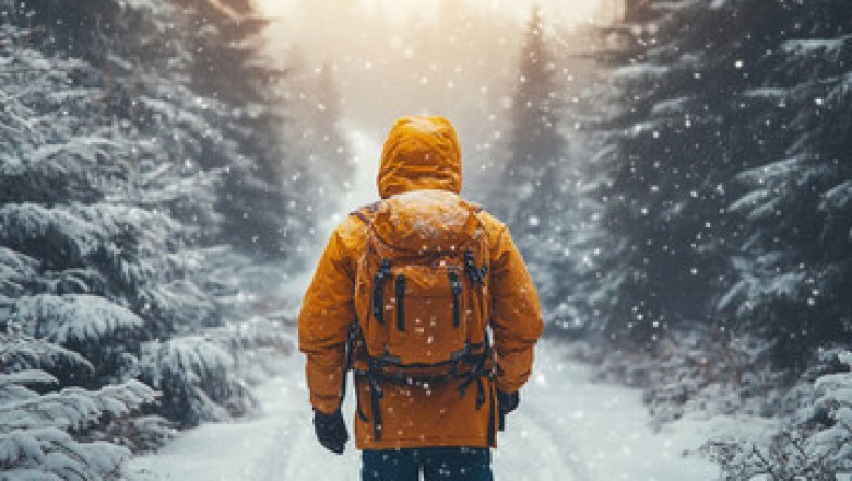 Whispers of Resilience