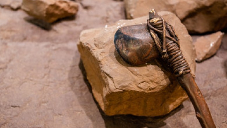 The Greatest Discovery Isn’t an Artifact—It’s Us: How Archaeology Is Rewriting the Human Story