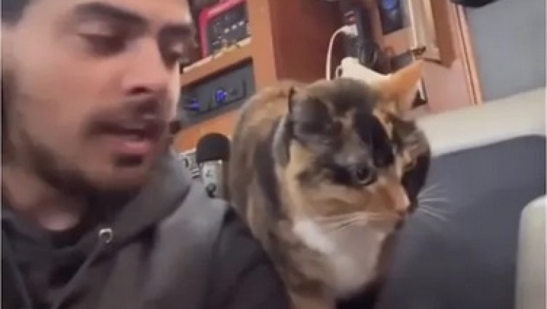 Sailing Beyond Limits: How One Man and His Cat Found Freedom Around the World