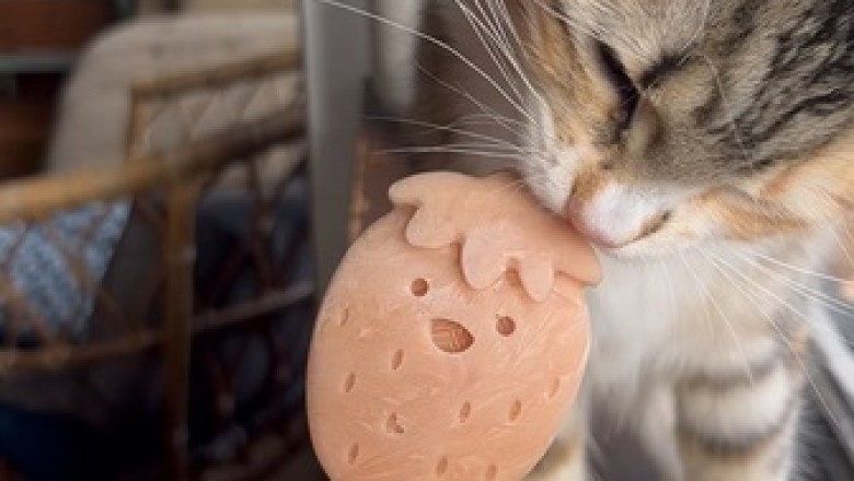 Hydration Hack for Cats: Tasty Treats They Can’t Resist!