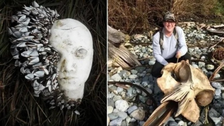 12 Insane Things People Found Washed Up on Beaches – You Won’t Believe