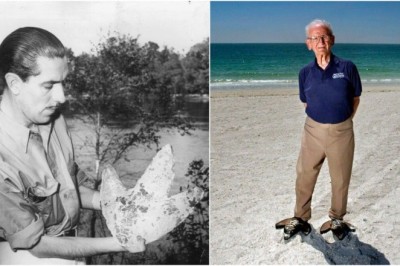 The Clearwater Monster: The Hilarious 40-Year Prank of Giant Penguin Footprints!