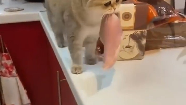 Perfect Cuts: Meat Served Right in the Ultimate Setting!