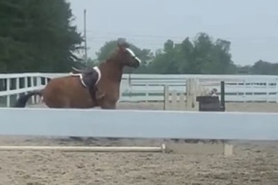 When Horses Have Had Enough: The Epic Moment a Rider Gets Dropped!