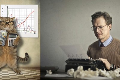 Meet Orlando: The Cat Who Outsmarted Wall Street and Could Make His Owner a Millionaire!