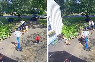 This Bear Just Forgot What He Was Doing