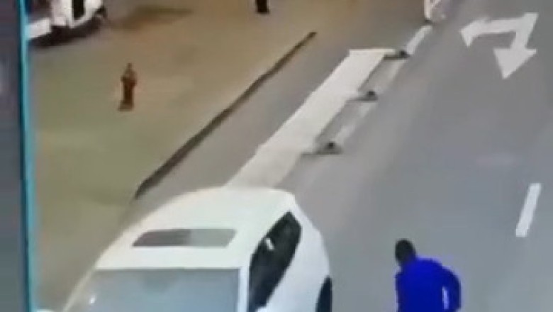 Cat Takes the Wheel: Hilarious Car Ride Gone Wrong!