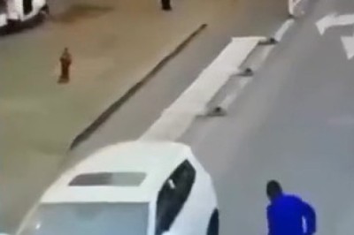 Cat Takes the Wheel: Hilarious Car Ride Gone Wrong!