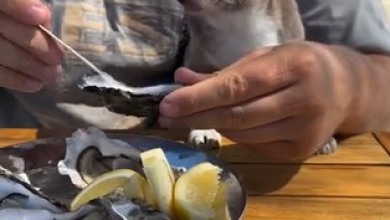 Hilarious Dog's Epic Standoff with White Meat