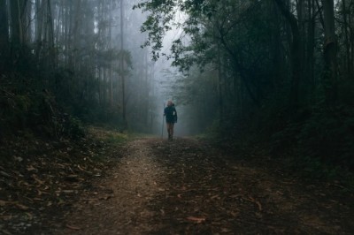 From Ordinary to Extraordinary: The Thrilling Journey of Emma and Jake's Escape!