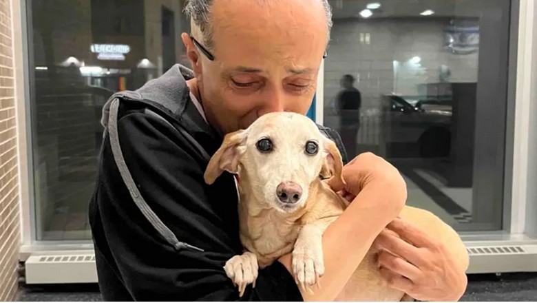 Blind Man Reunited with Beloved Service Dog After Heartbreaking Theft!